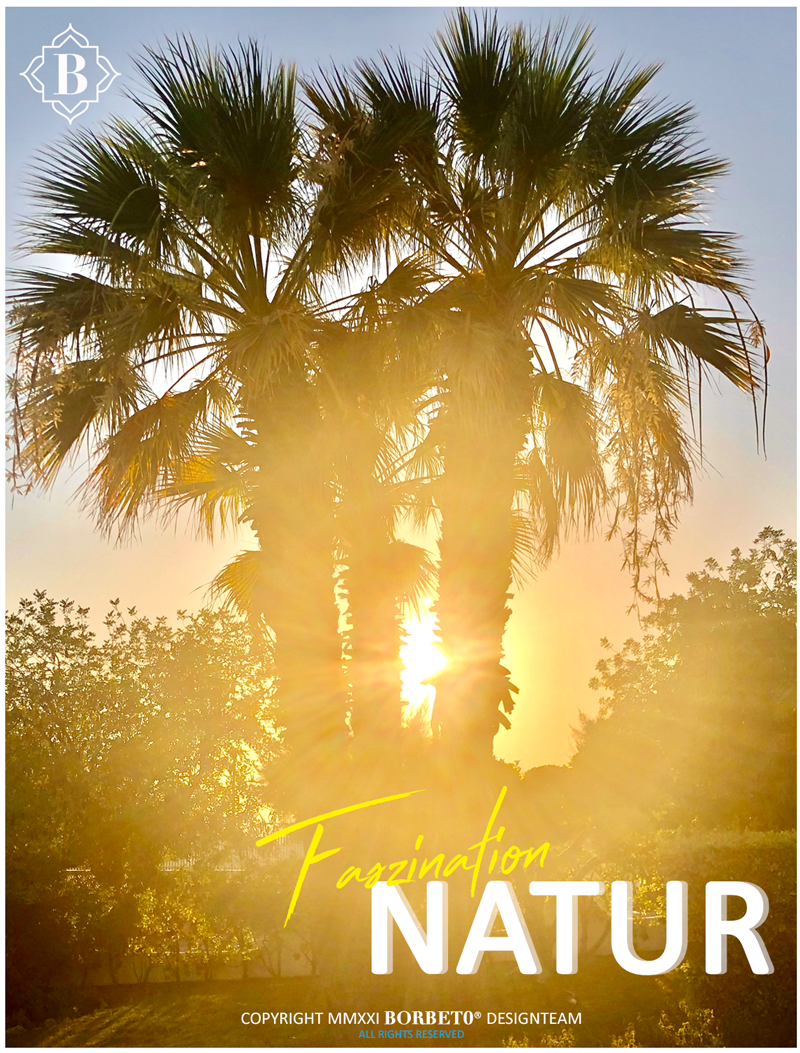 Natur by BORBETO | Germany |©2021